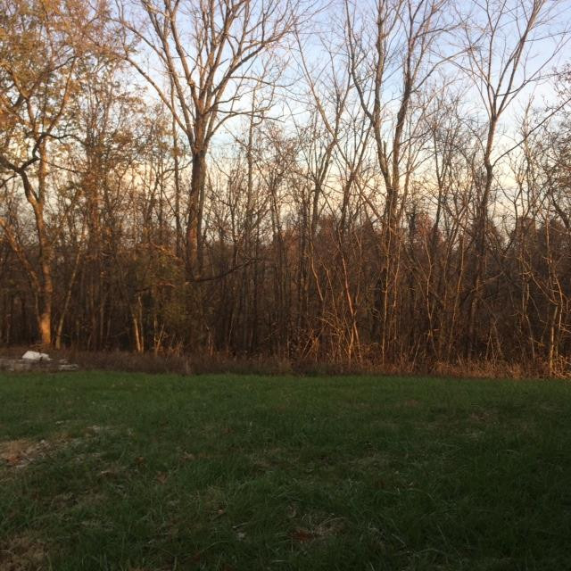1428 Fairview Road Lawrenceburg, KY 40342 - Photo 31 of 47 Photo 31