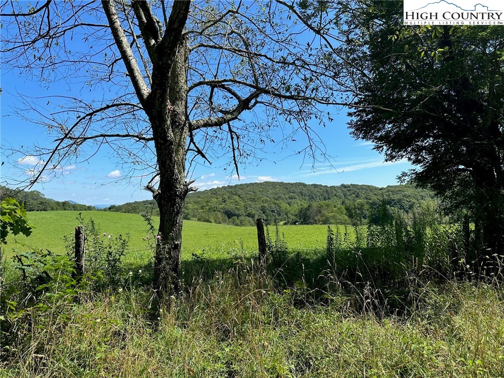Lot 3 Signature Ridge Road Banner Elk, NC 28604 - Photo 2 of 5 a view of a garden with a tree