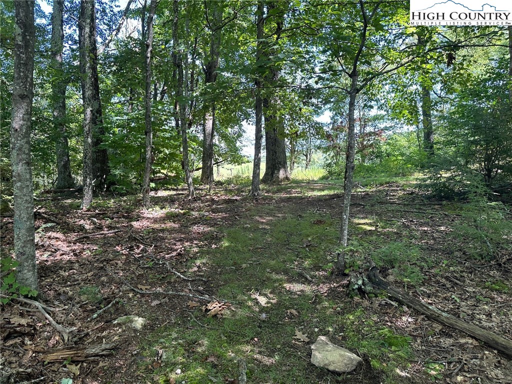 Lot 3 Signature Ridge Road Banner Elk, NC 28604 - Photo 4 of 5 a view of a forest with trees in the background