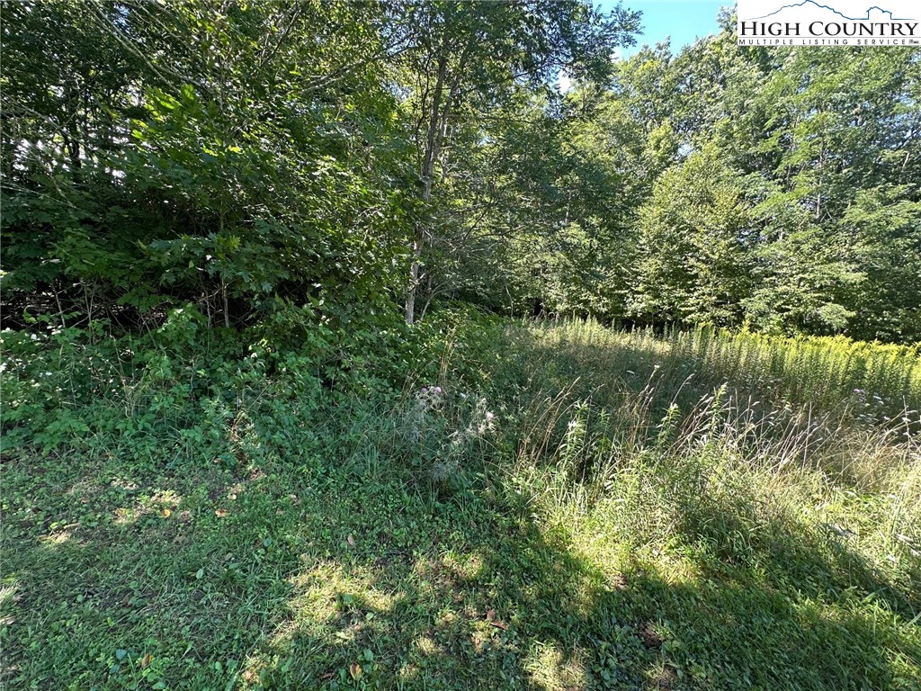 Lot 3 Signature Ridge Road Banner Elk, NC 28604 - Photo 5 of 5 a view of a forest with a lake