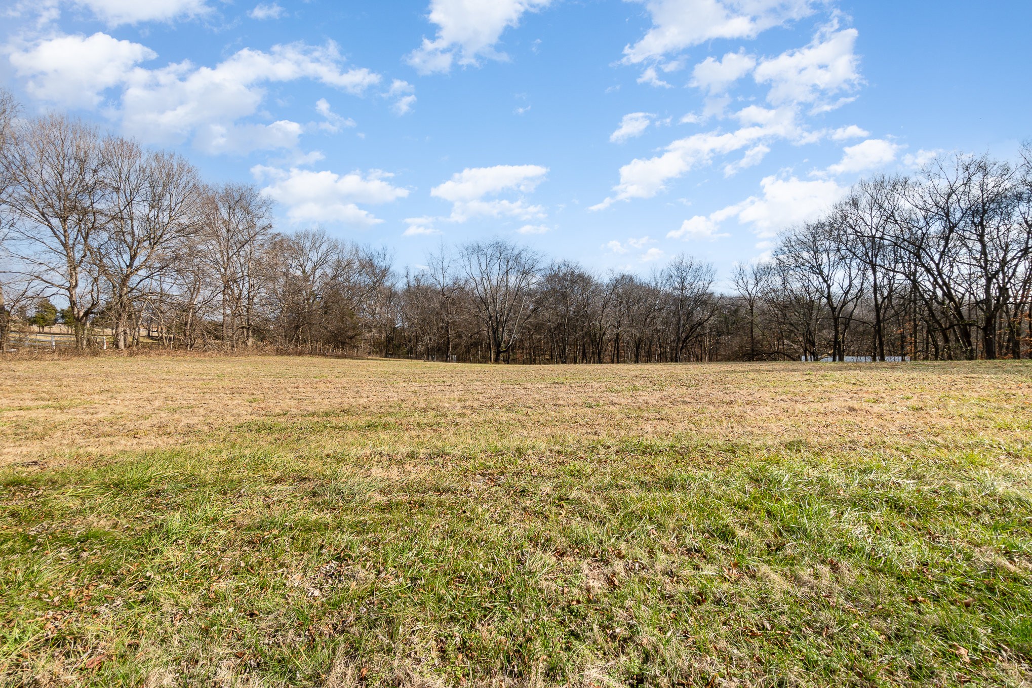 6960 Highway 231 Bethpage, TN 37022 - Photo 3 of 32 a view of a yard with a tree