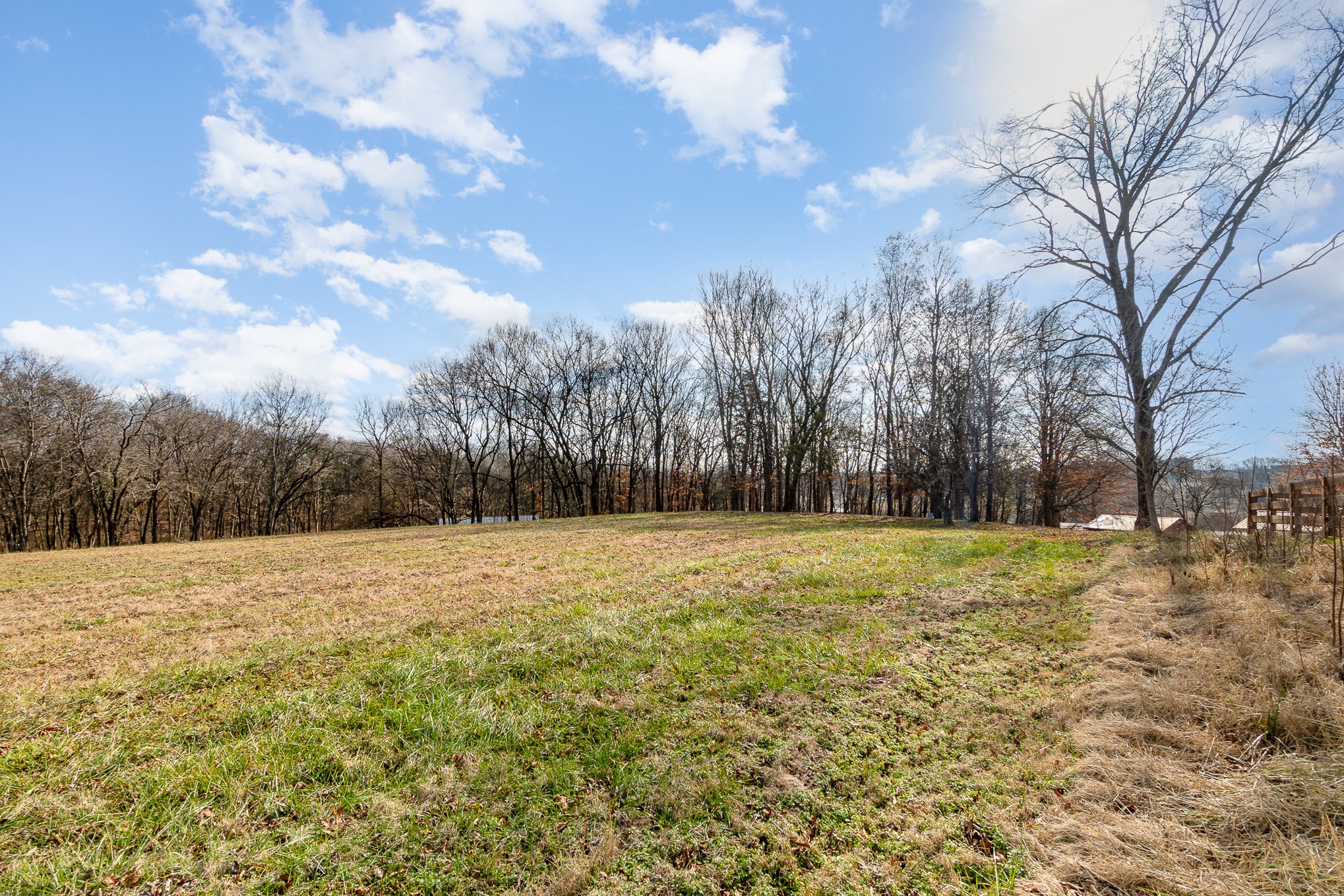 6960 Highway 231 Bethpage, TN 37022 - Photo 32 of 32 a yard with trees in the background