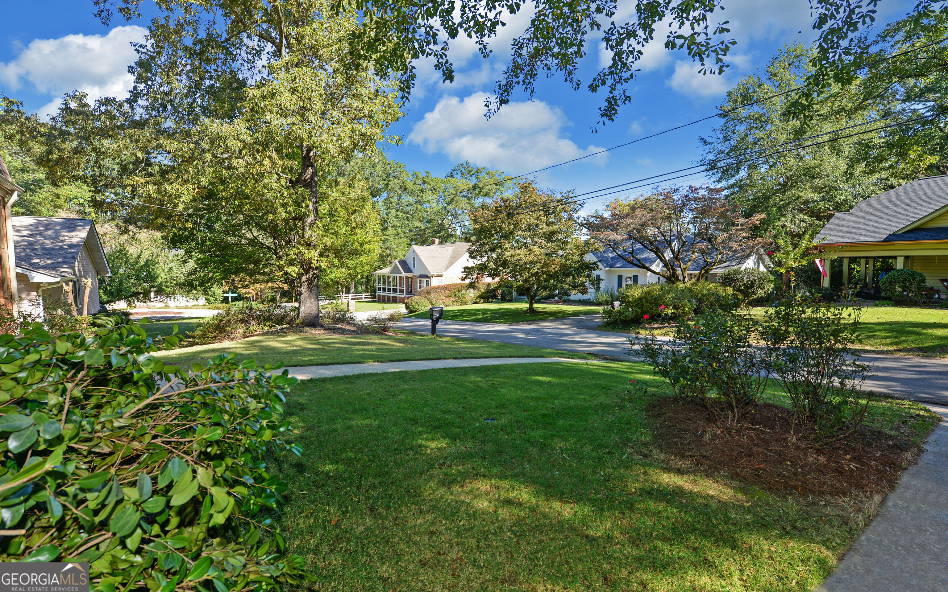 43 Pauline Avenue Toccoa, GA 30577 - Photo 40 of 40 a view of a park with large trees
