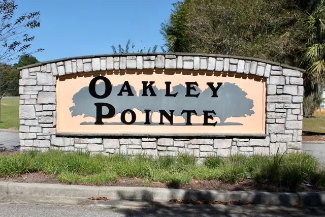 $480,000 | 348 Blue Oak Drive, Moncks Corner, SC 29461