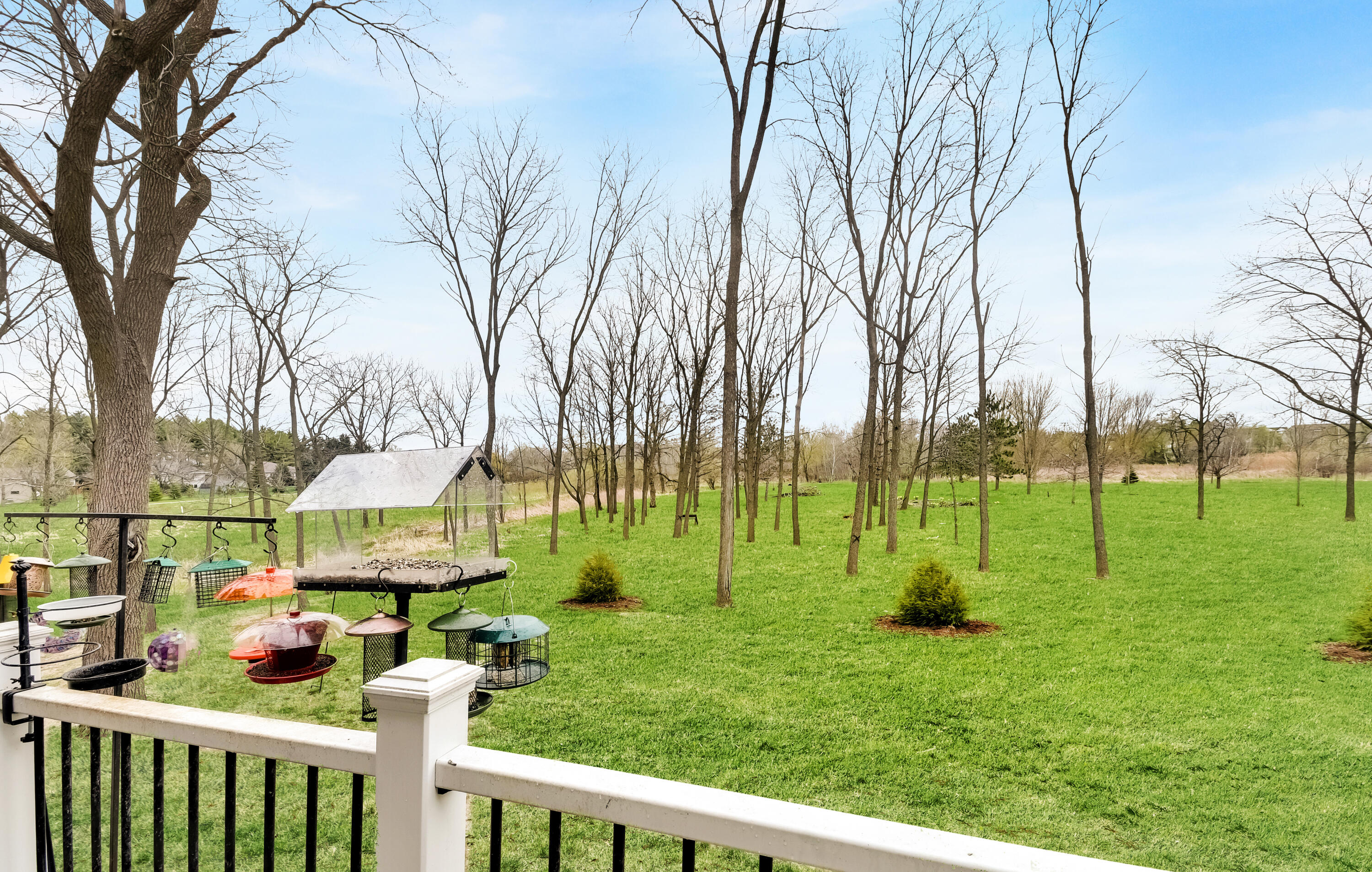 211 Edenview Lane Eden, WI 53019 - Photo 14 of 14 Park view