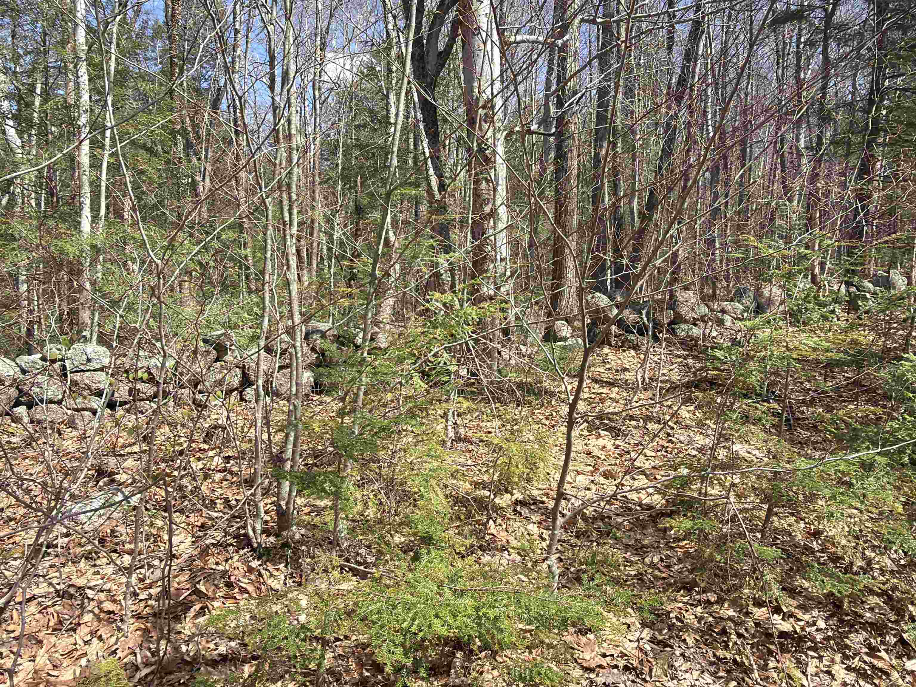 R29-l9 Roxbury Road, Unit LOT 9 Meredith, NH 03253 - Photo 15 of 36