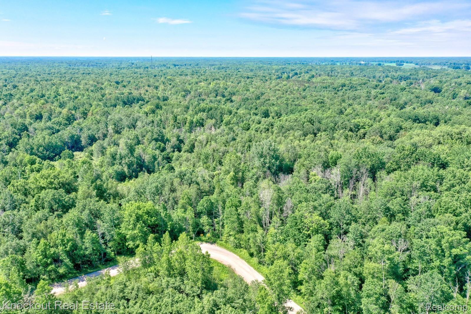 1000 West Kitchen Road Rhodes, MI 48652 - Photo 17 of 34 Kitchen Lots Bay County-14.jpg