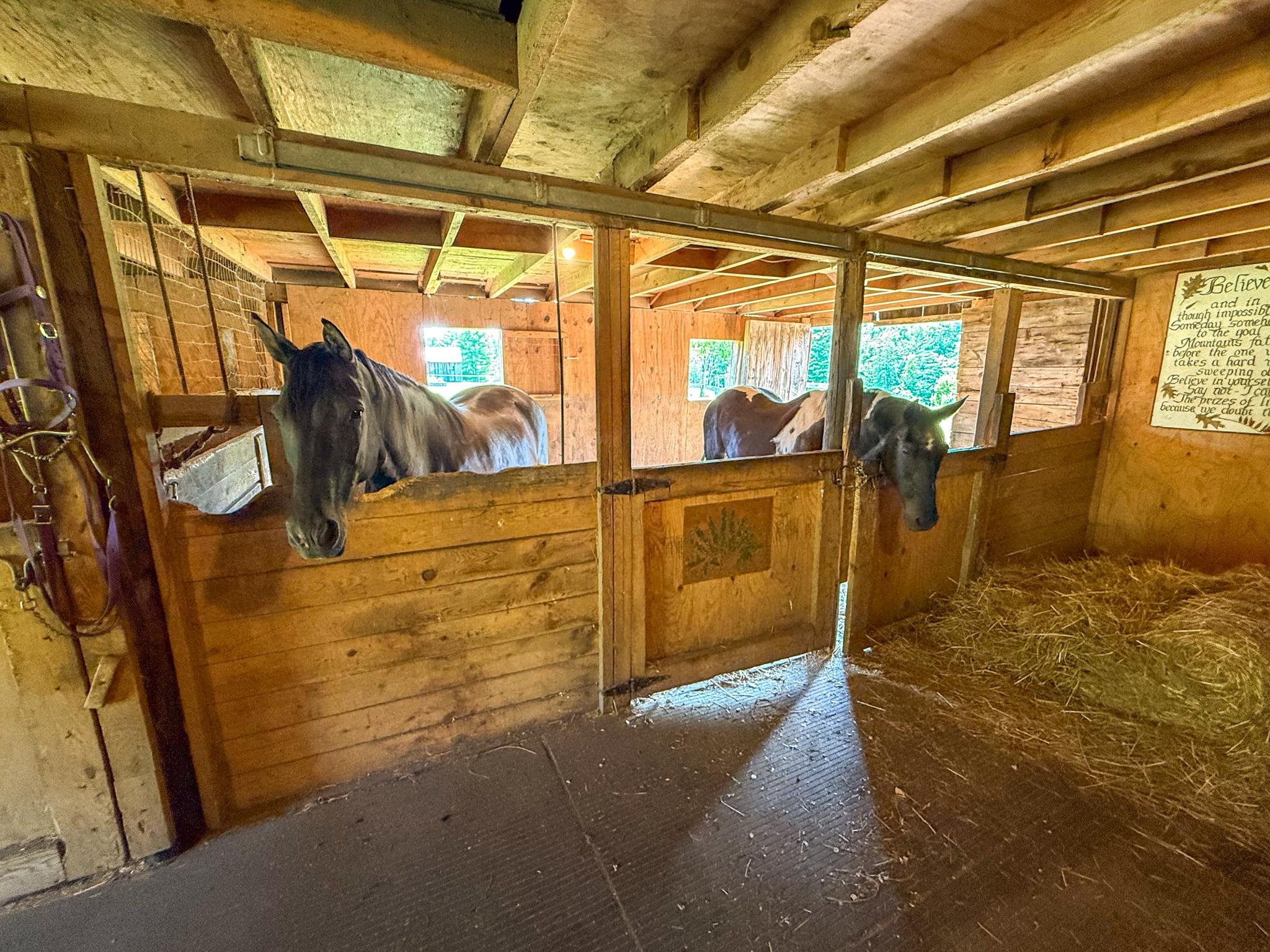68 Isaac Perkins Road Lyme, NH 03768 - Photo 55 of 60