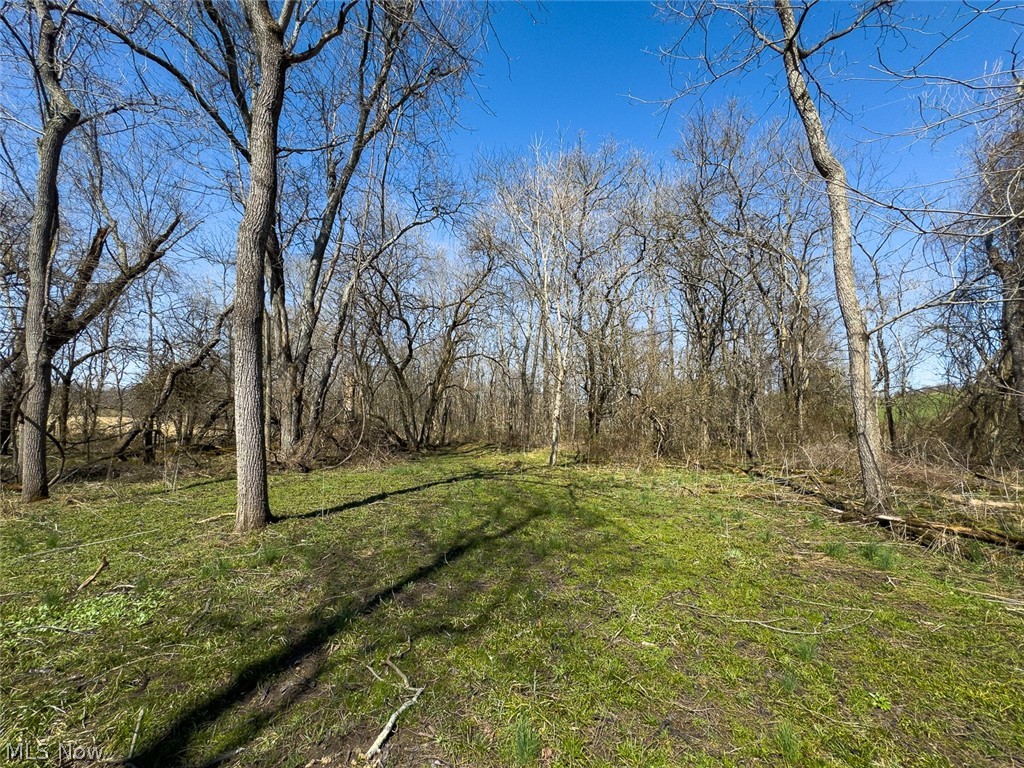 0 Lonesome Road Thornville, OH 43076 - Photo 8 of 31