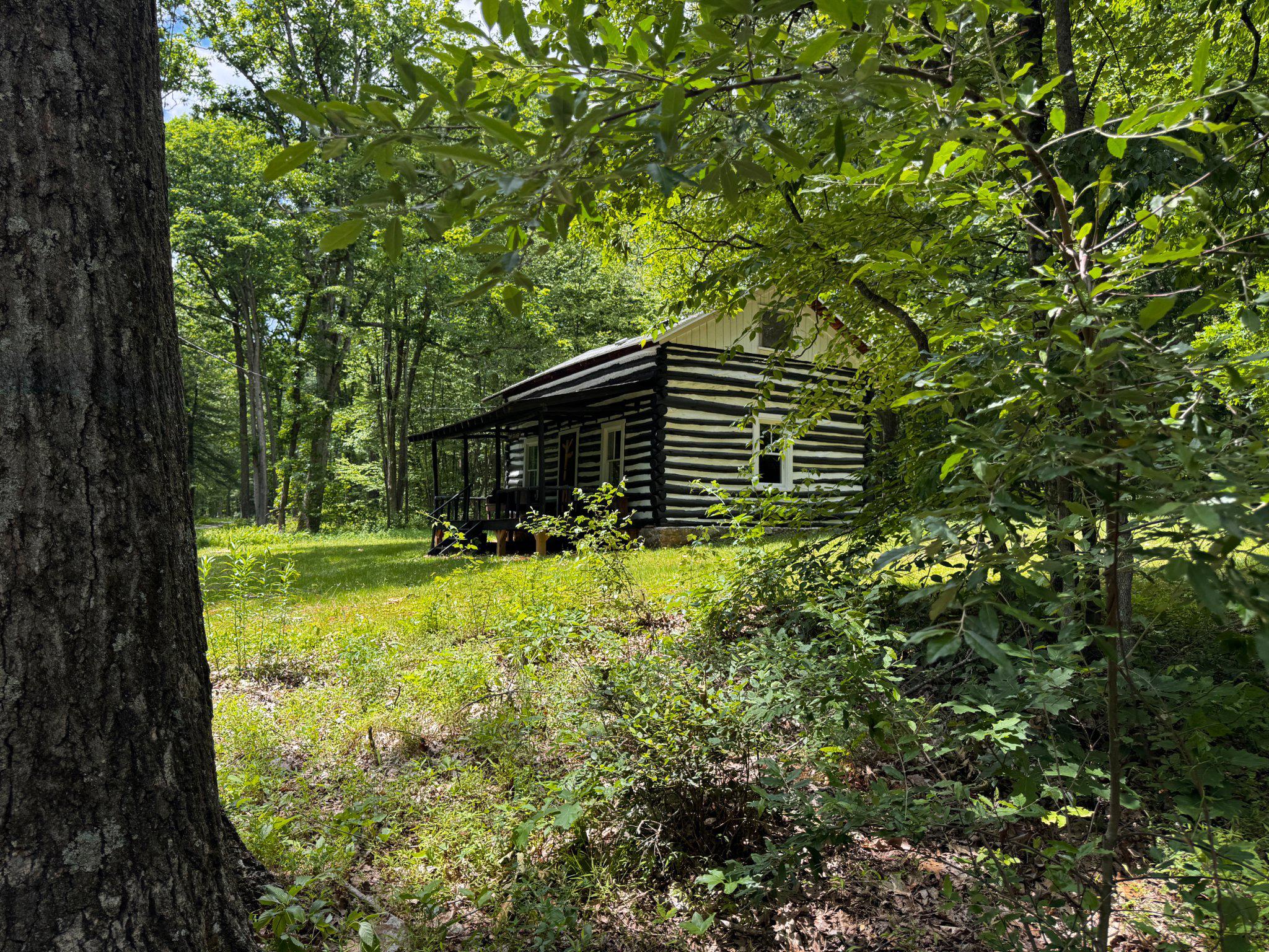 4464 Tram Road Spruce Creek, PA 16683 - Photo 39 of 53 a backyard of a house with lots of green space