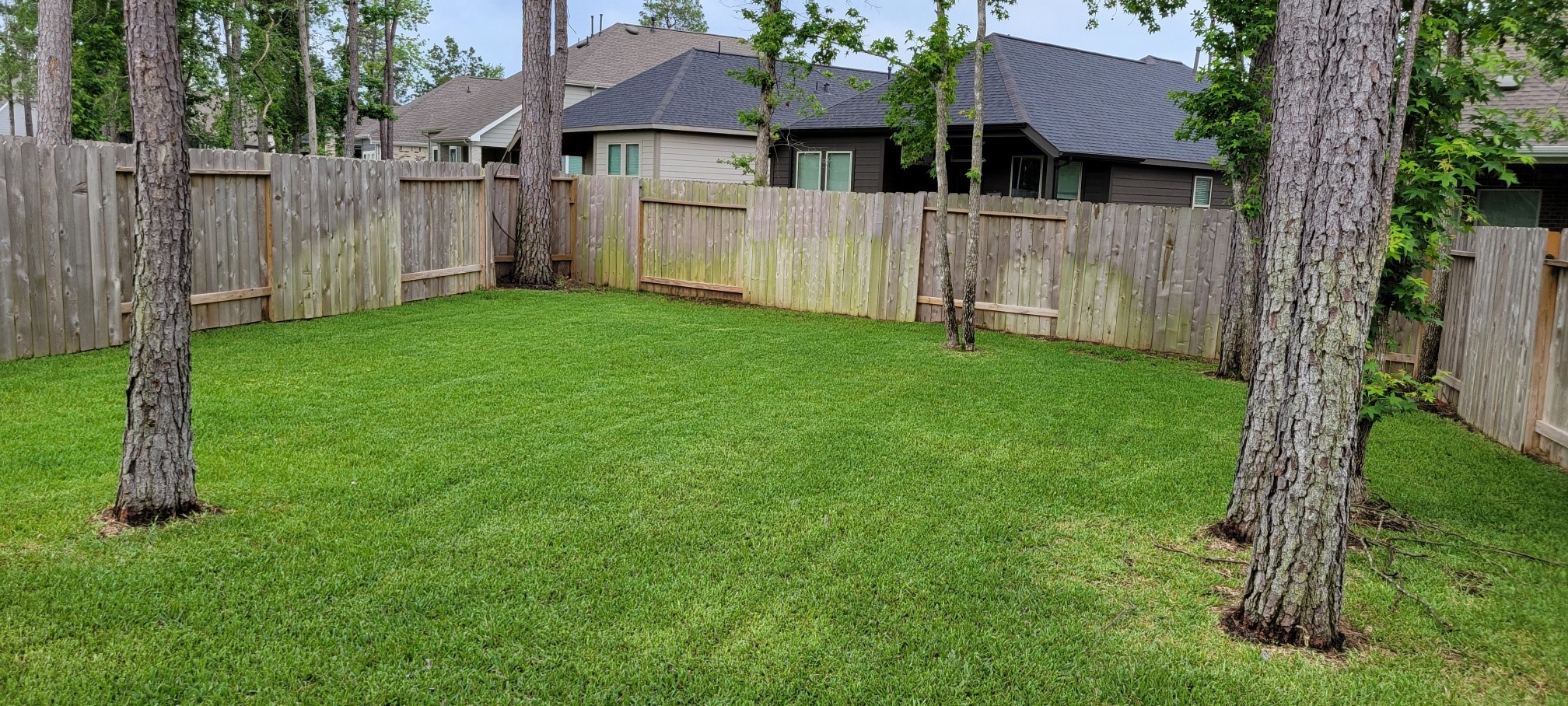 405 Rise Lane Montgomery, TX 77316 - Photo 17 of 17 a view of backyard of house with green space