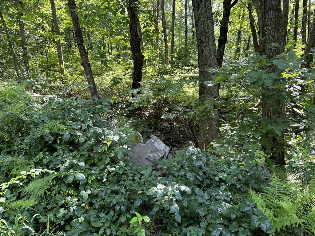 Lot 1 Petersham Road Hardwick, MA 01037 - Photo 37 of 40 Gallery Image 37