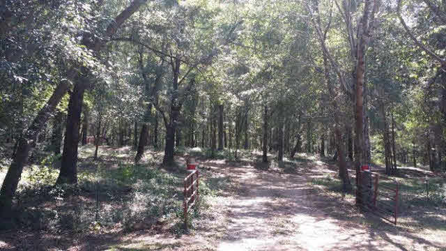 13410 Highway 98 Foley, AL 36535 - Photo 3 of 17