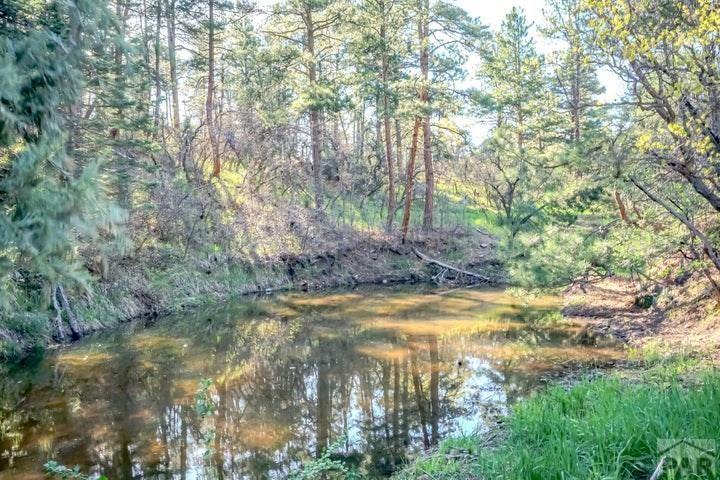 5207 Northcreek Road Beulah, CO 81023 - Photo 49 of 56
