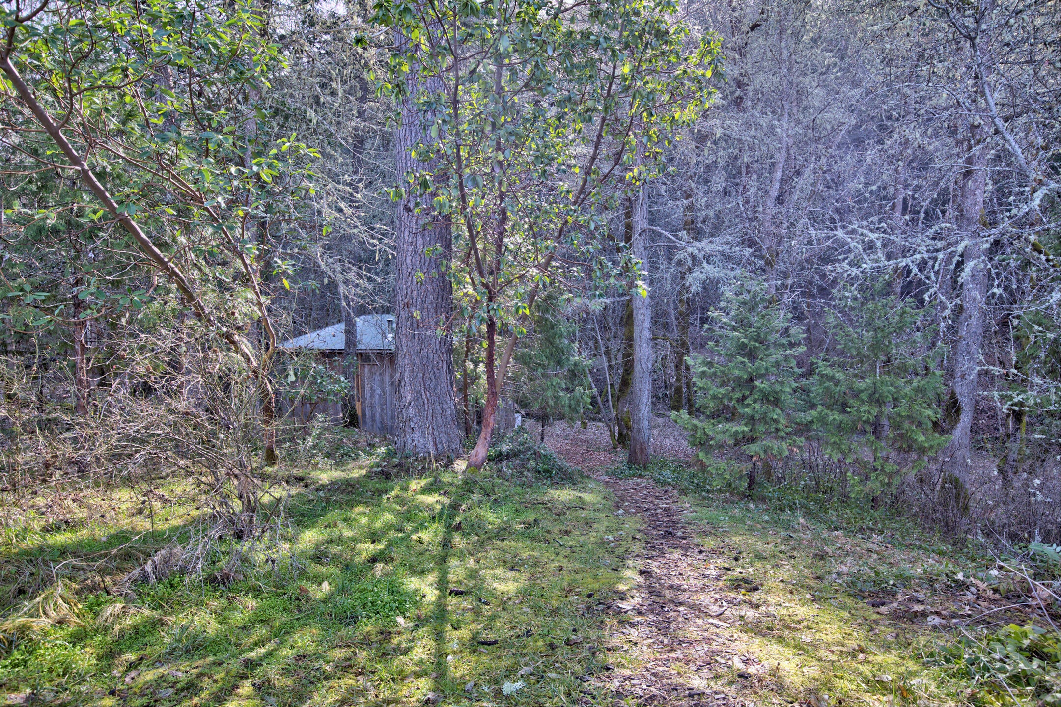1015 Panther Gulch Road Williams, OR 97544 - Photo 31 of 49 Trail to cabin