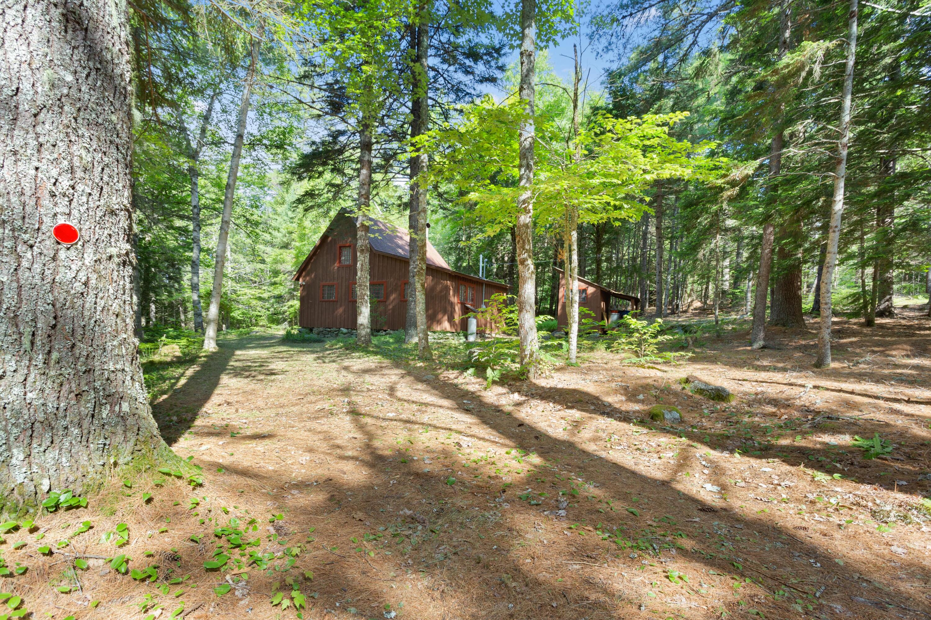 1214 Macomber Mill Road Eastbrook, ME 04634 - Photo 4 of 31 Driveway View