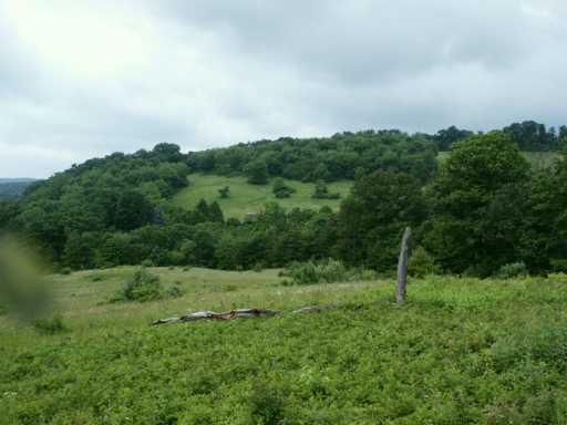 Markman Park Road Baden, PA 15005 - Photo 5 of 7 Other.