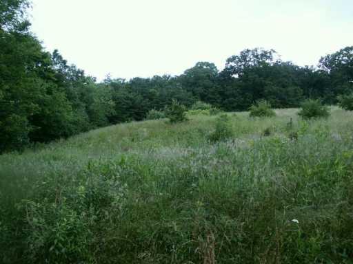 Markman Park Road Baden, PA 15005 - Photo 6 of 7 Other.