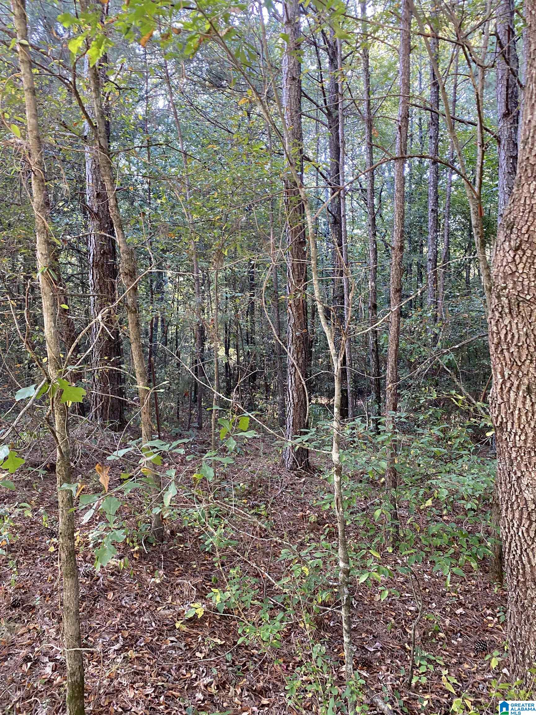 Lincoln Road, Unit 6 0 Cleveland, AL 35049 - Photo 10 of 12