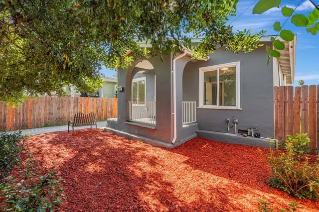 a view of a backyard with a garden and tree