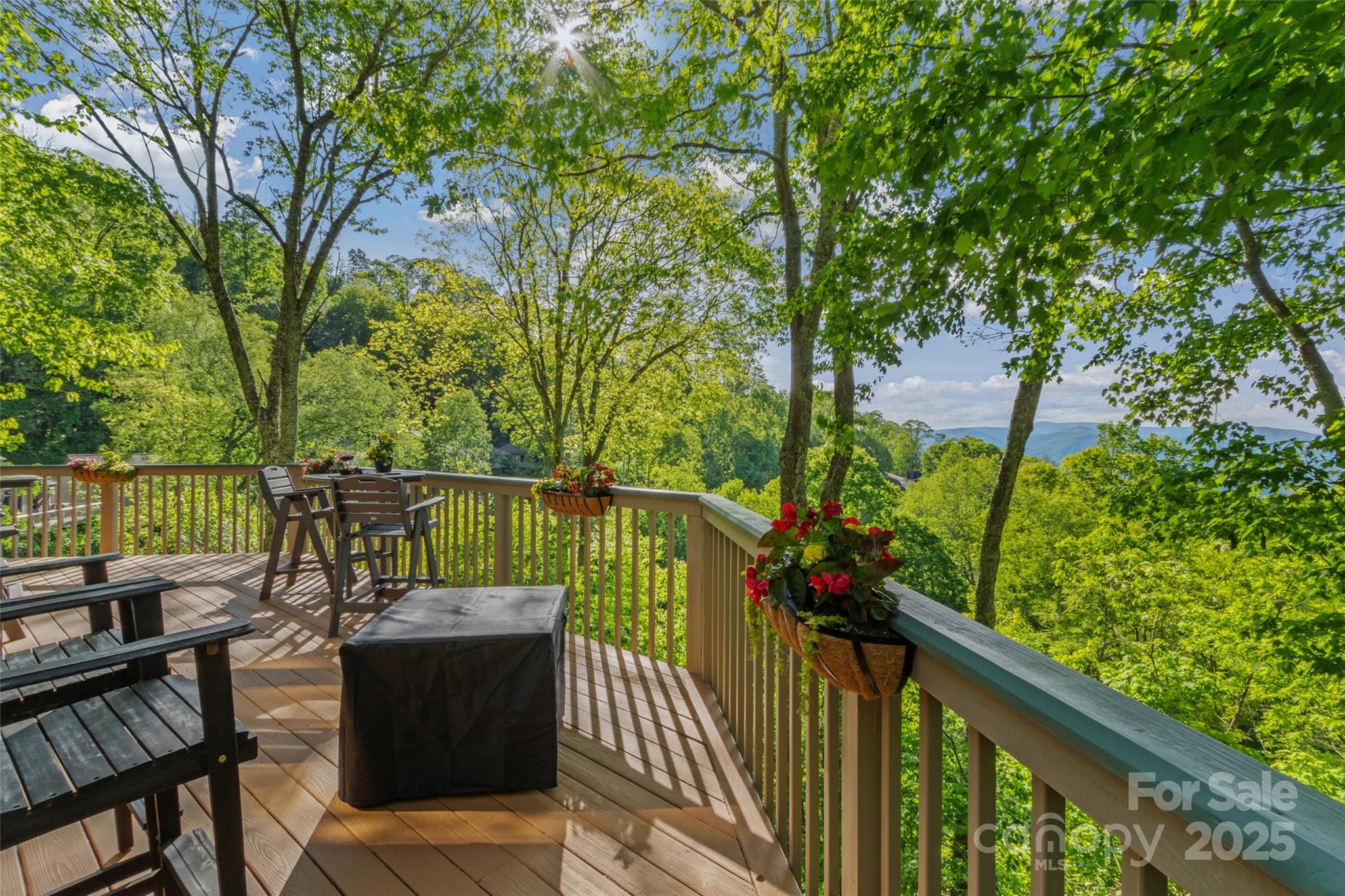 141 Ivy Ridge Road Burnsville, NC 28714 - Photo 15 of 42 Gallery Image 15
