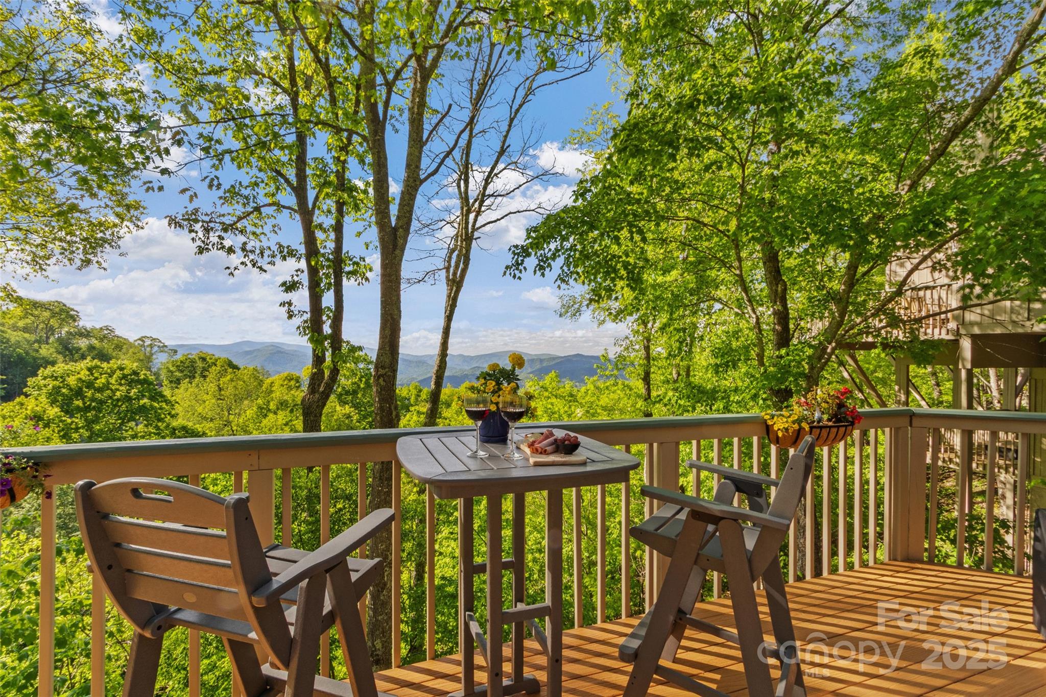 141 Ivy Ridge Road Burnsville, NC 28714 - Photo 25 of 42 Gallery Image 25