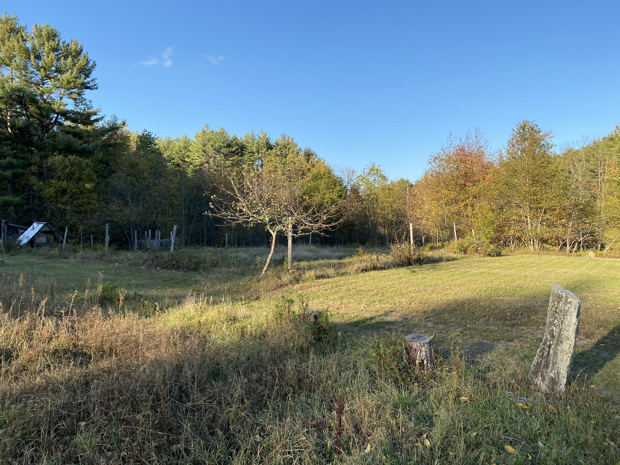 146 Barrett Road Searsmont, ME 04973 - Photo 10 of 15 IMG_1131