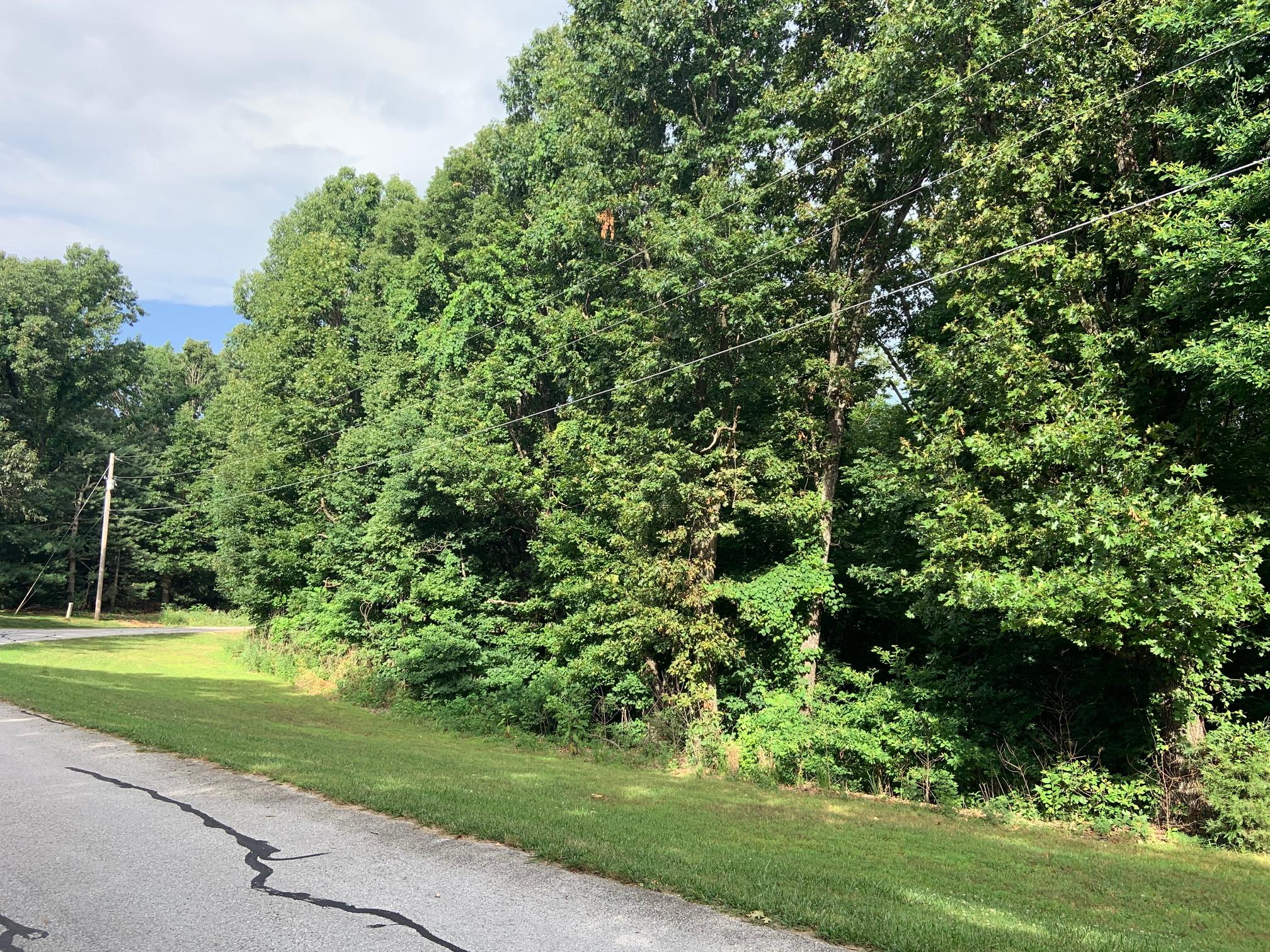 0 Cedar Hills Road, Unit LOT 9 Ozark, MO 65721 - Photo 1 of 1 Schmig Lot9