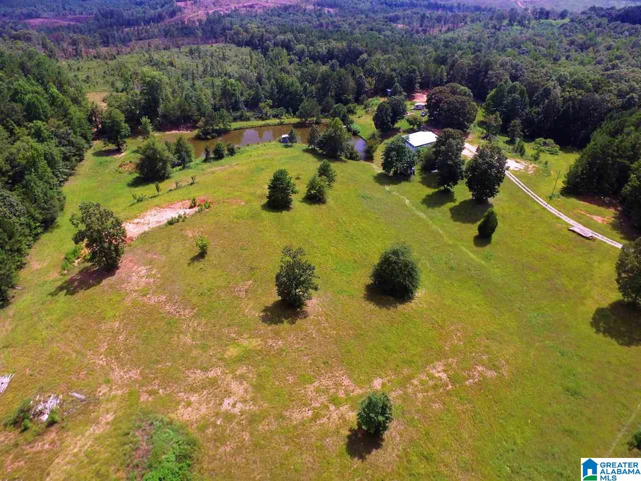 950 County Road 478, Unit 1 Clanton, AL 35046 - Photo 18 of 31