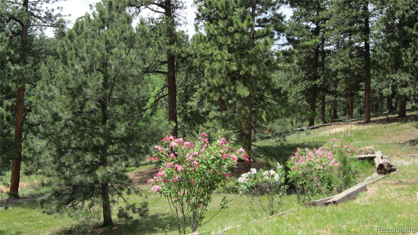 33342 Nova Road Pine, CO 80470 - Photo 35 of 35 Gallery Image 35
