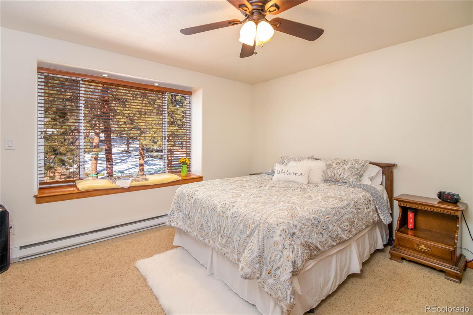 33342 Nova Road Pine, CO 80470 - Photo 8 of 35 Gallery Image 8