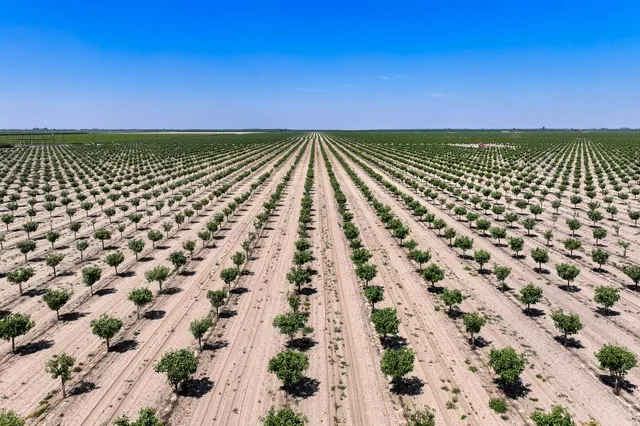a view of building with yard