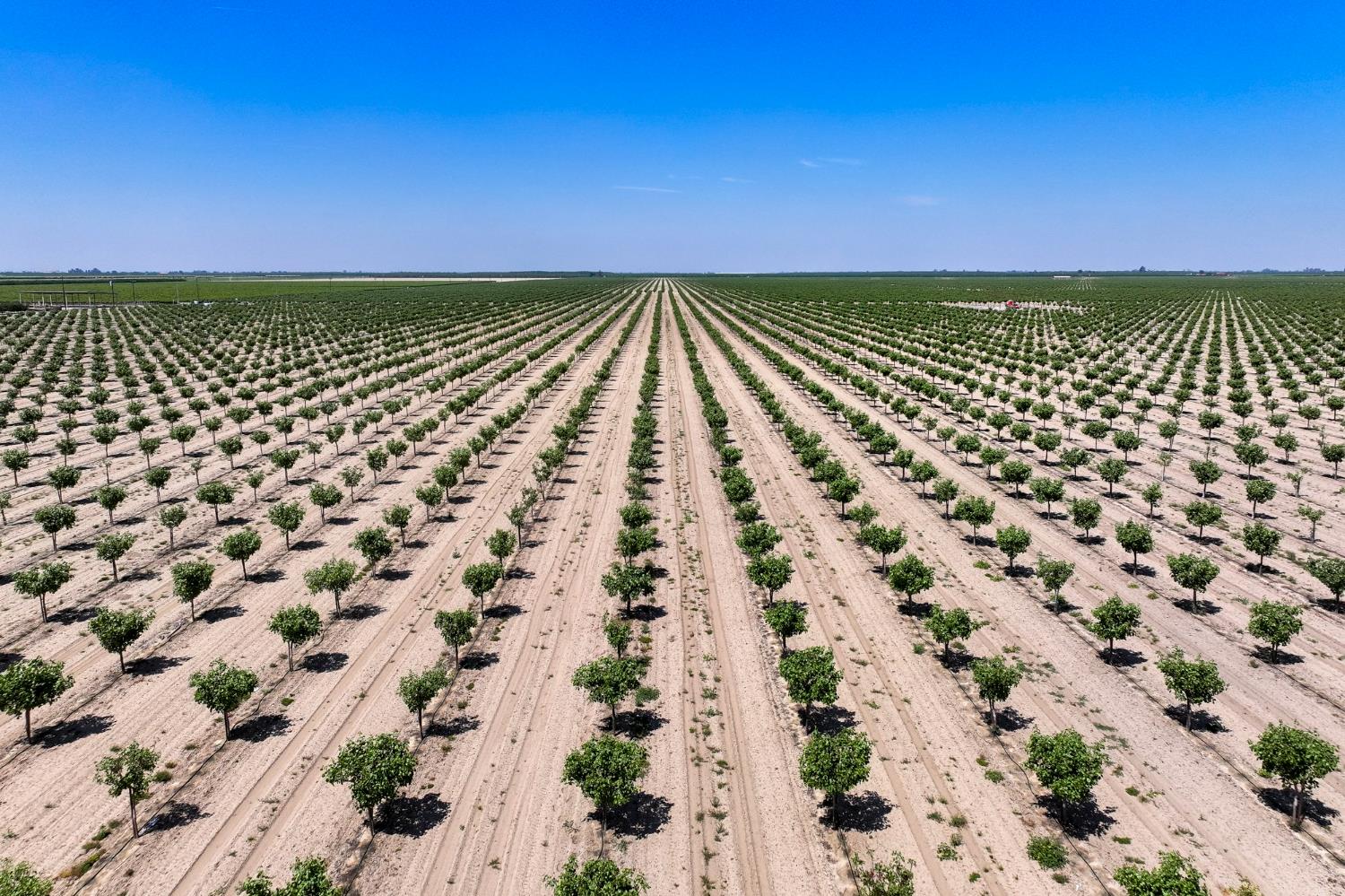 16495 South Minnewawa Avenue Selma, CA 93662 - Photo 2 of 12 a view of building with yard