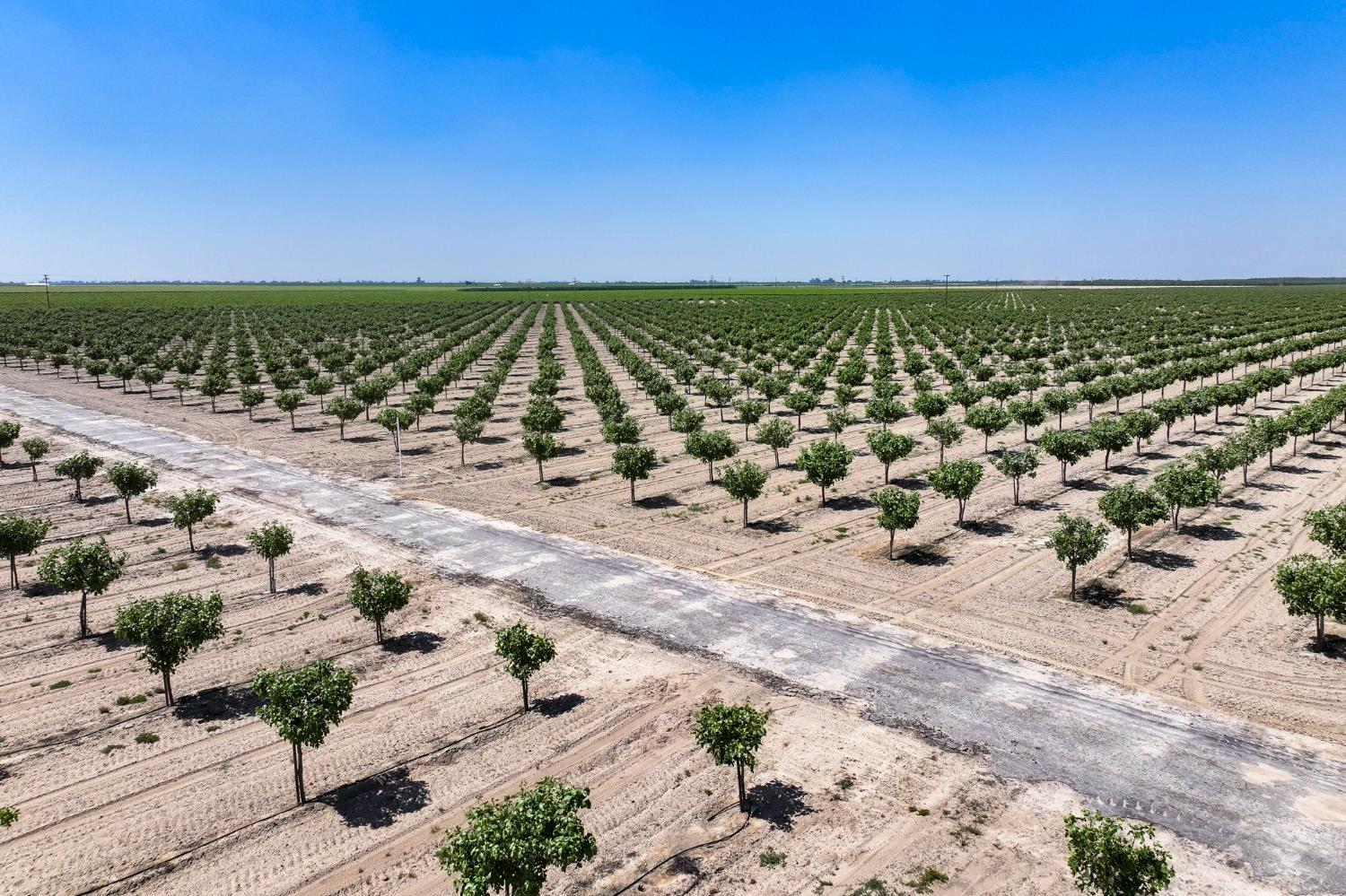 16495 South Minnewawa Avenue Selma, CA 93662 - Photo 4 of 12 a view of ocean and beach