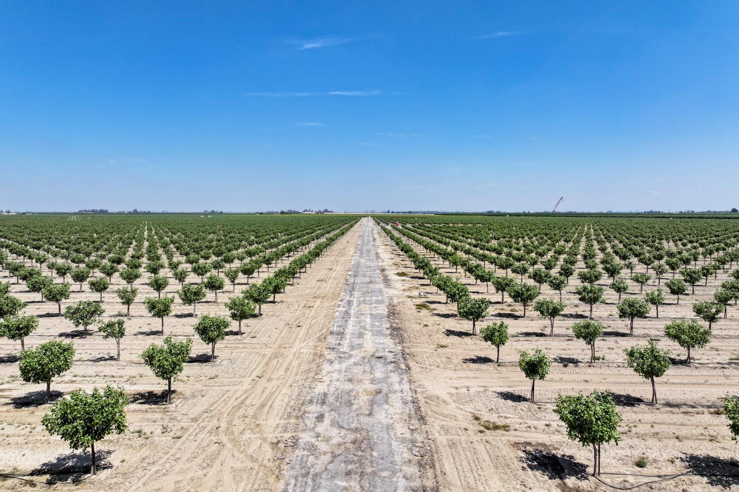 16495 South Minnewawa Avenue Selma, CA 93662 - Photo 5 of 12