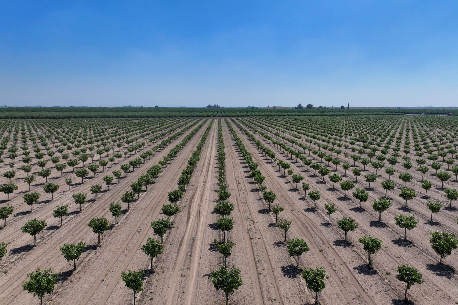 16495 South Minnewawa Avenue Selma, CA 93662 - Photo 9 of 12 an aerial view of a building