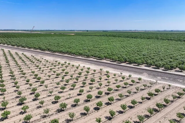 a view of a terrace with a garden