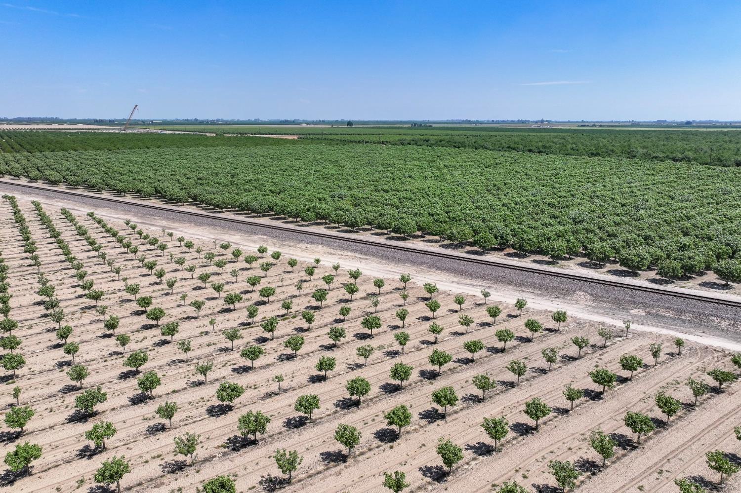16495 South Minnewawa Avenue Selma, CA 93662 - Photo 10 of 12 a view of a yard with an outdoor space