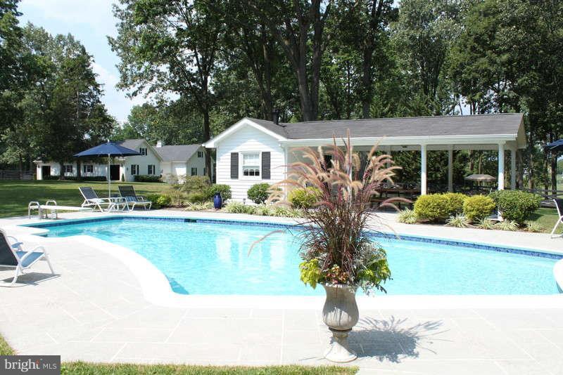 239 Klines Mill Road Middletown, VA 22645 - Photo 15 of 30 In Ground Pool with Heater