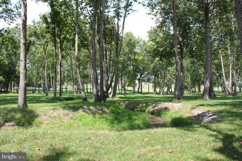 239 Klines Mill Road Middletown, VA 22645 - Photo 21 of 30 Acreage