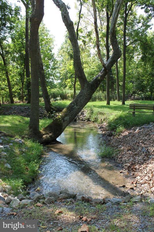 239 Klines Mill Road Middletown, VA 22645 - Photo 22 of 30 Year Round Stream