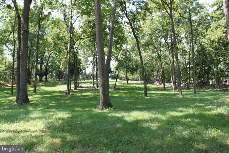 239 Klines Mill Road Middletown, VA 22645 - Photo 23 of 30 Acreage