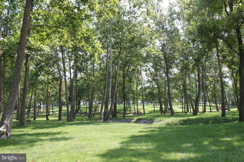 239 Klines Mill Road Middletown, VA 22645 - Photo 24 of 30 Acreage