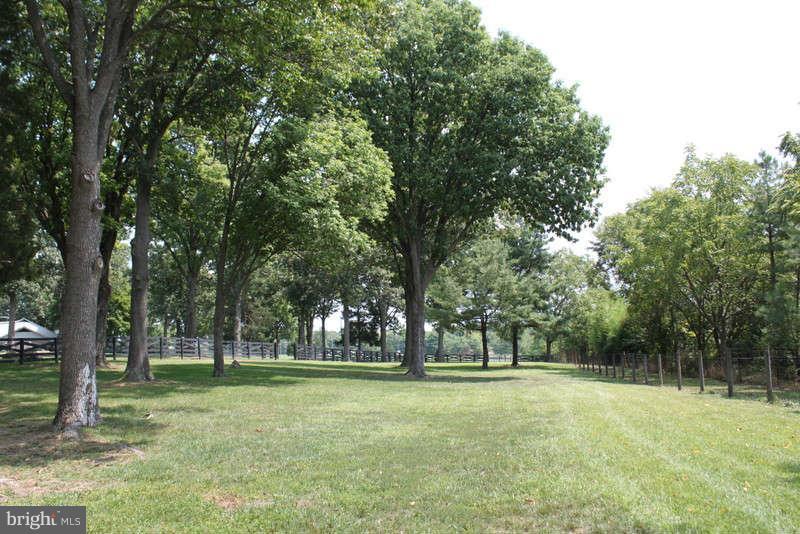 239 Klines Mill Road Middletown, VA 22645 - Photo 25 of 30 Acreage