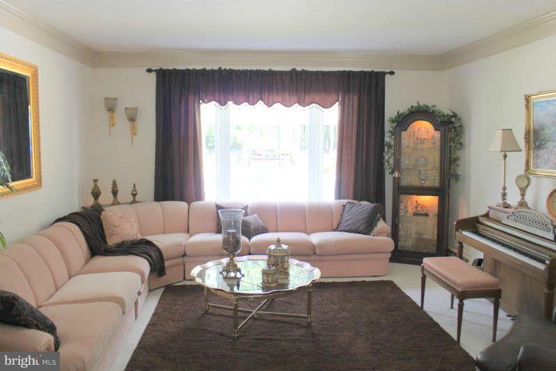 239 Klines Mill Road Middletown, VA 22645 - Photo 9 of 30 Living Room Overlooking the Pool