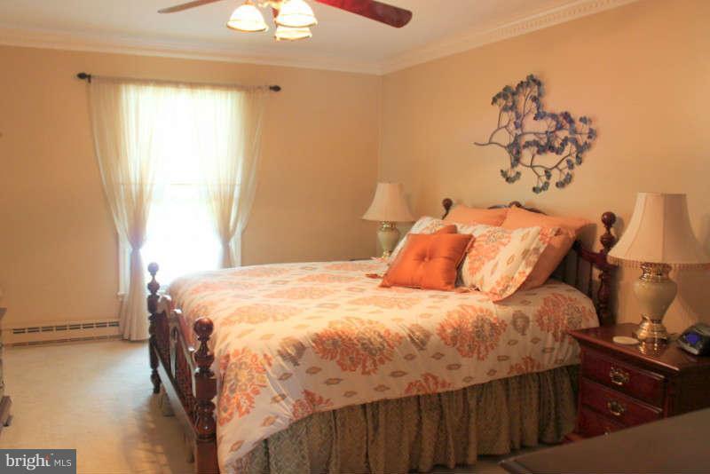 239 Klines Mill Road Middletown, VA 22645 - Photo 10 of 30 Master Bedroom