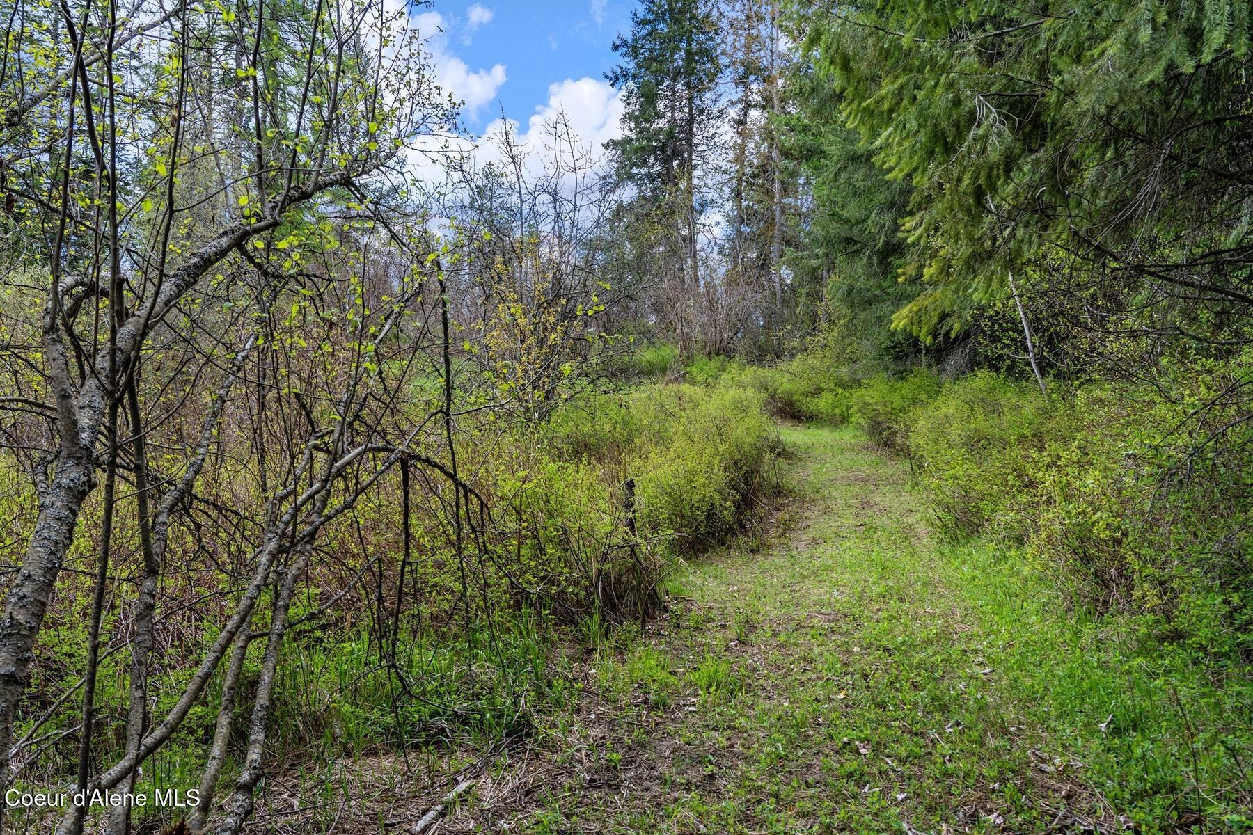 1438 Granite Loop Athol, ID 83801 - Photo 10 of 24 Trails throughout property