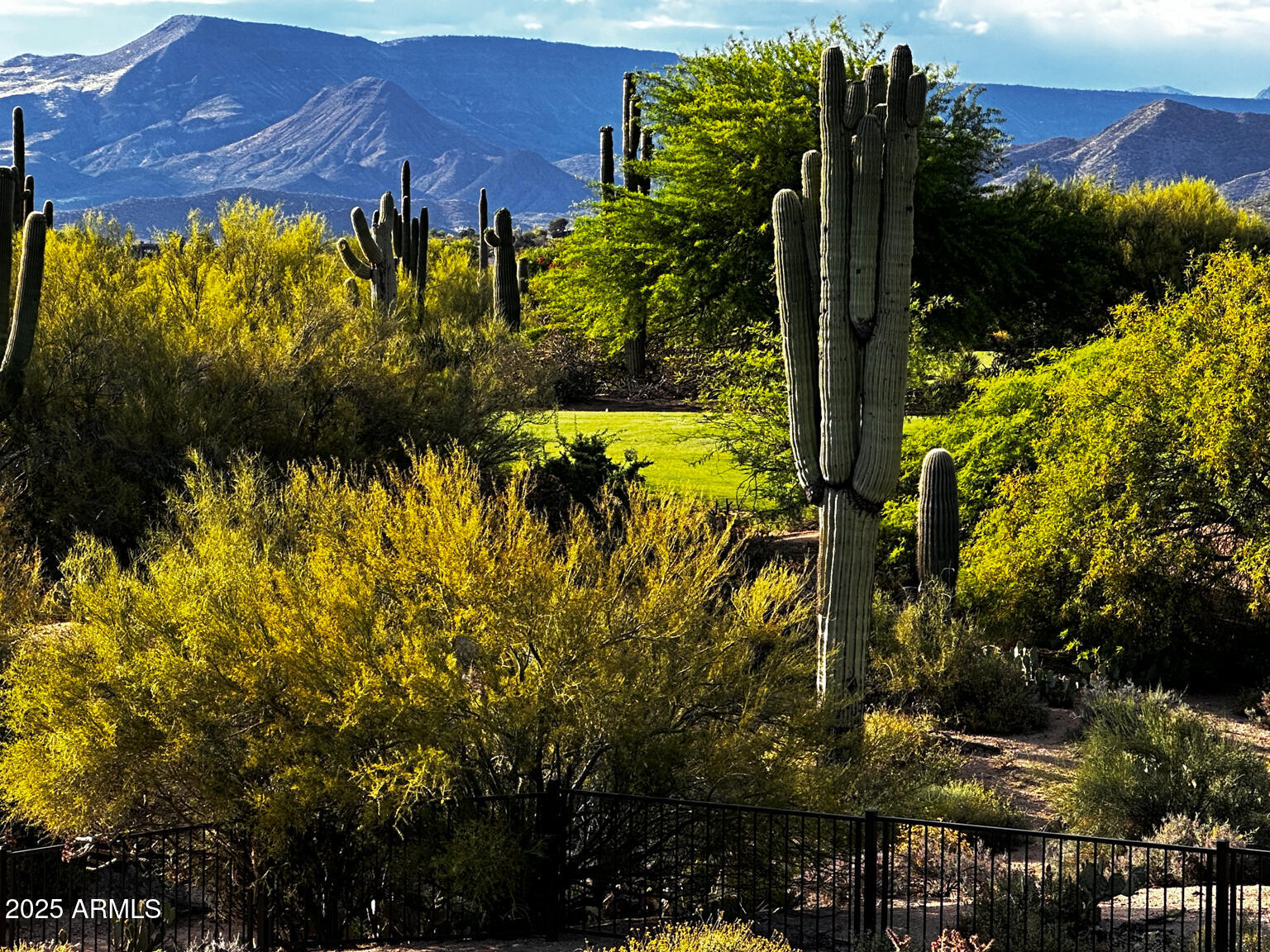36601 Mule Train Road, Unit D16 Carefree, AZ 85377 - Photo 28 of 29 IMG_7817 (1)