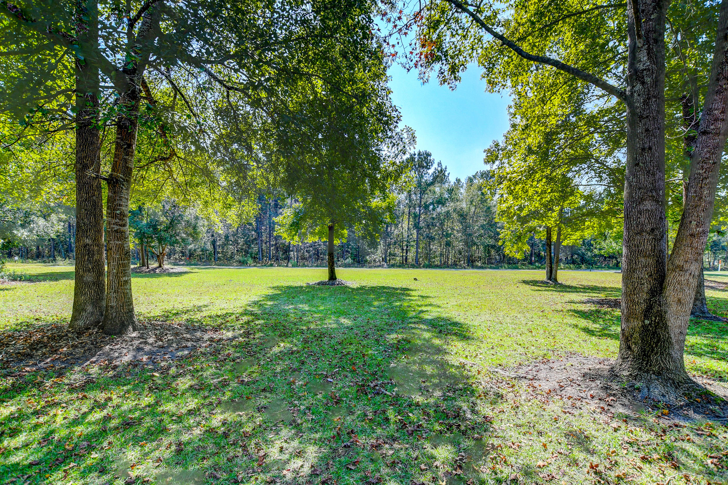 5642 Dixie Plantation Road Hollywood, SC 29449 - Photo 38 of 44 DSC_5338_39_40_41_42