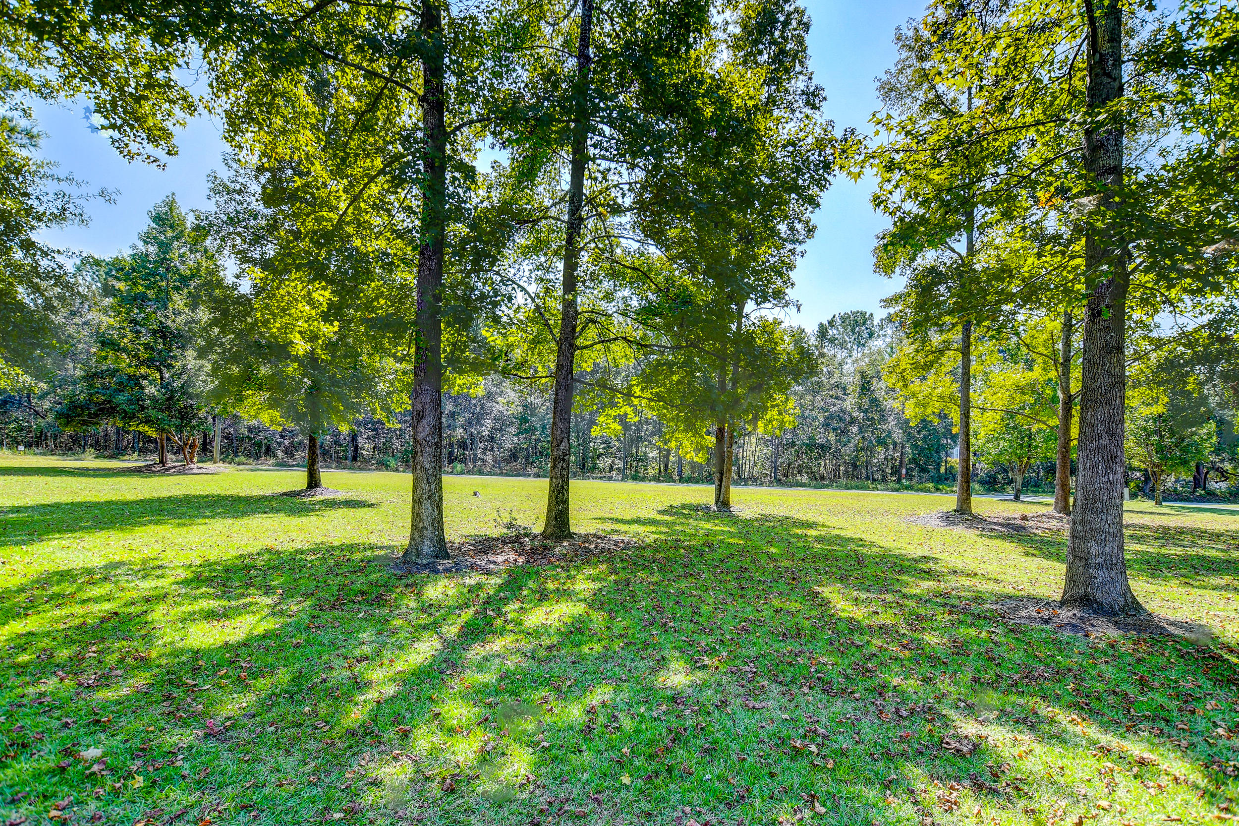 5642 Dixie Plantation Road Hollywood, SC 29449 - Photo 9 of 44 DSC_5343_4_5_6_7